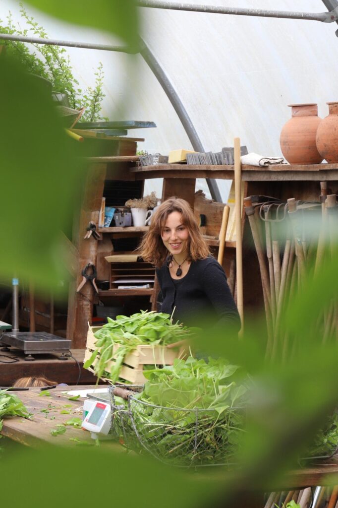 Jardinier-maraîcher permaculturel : 12 jours