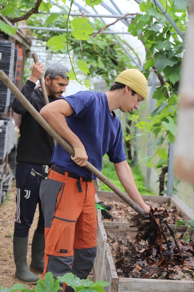 Cursus Complet Jardinier-maraîcher + microfermes et forêts-jardins : 24 jours