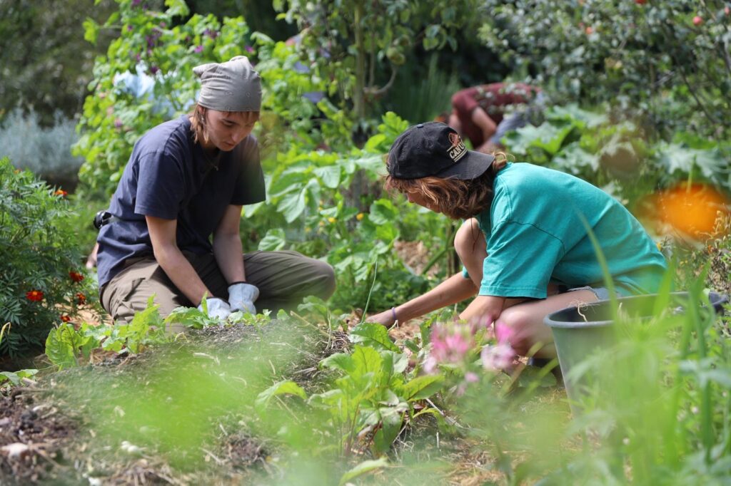 Introduction à la Permaculture et à l’Écoculture 2026