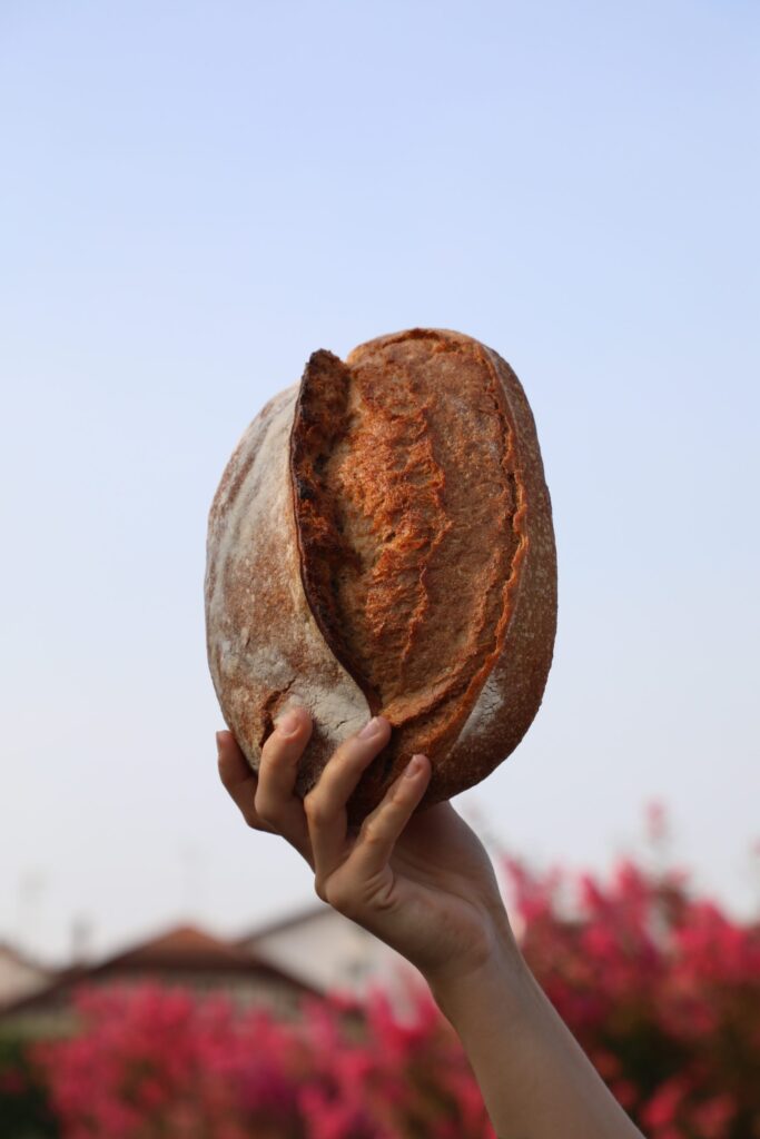 Micro-fournil au levain naturel